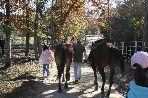 08 bringing horses from pasture.JPG
