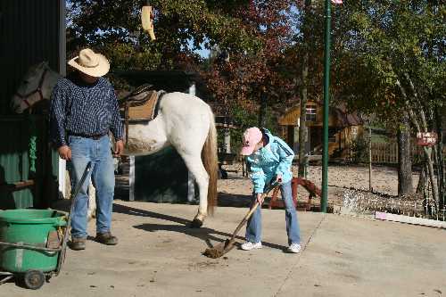 09 gotta work for your ride.JPG