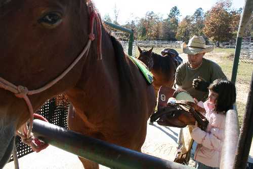 10 Will helps Sam saddle.JPG