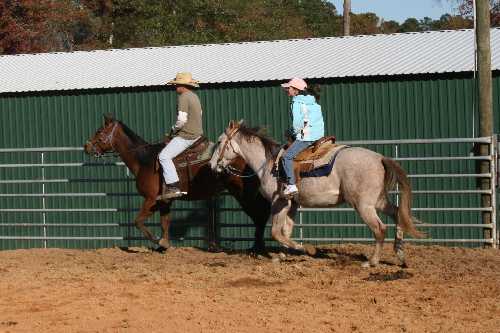 13 Will gets Sara trotting.JPG