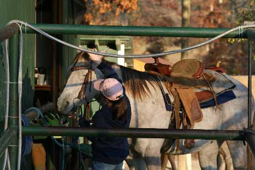15 Sara bridles her horse.JPG