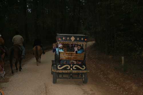 27 riding with carriage into town.JPG