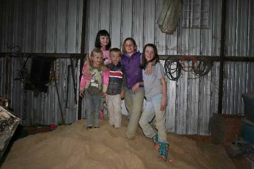 30 the kids play in the horse feed.JPG