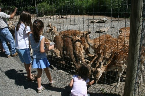05 feeding time.JPG